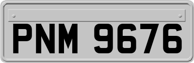 PNM9676