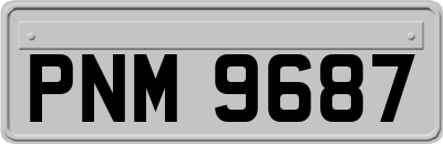 PNM9687