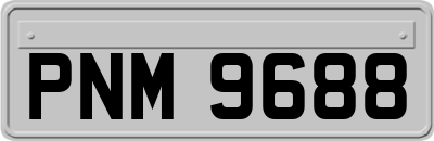 PNM9688