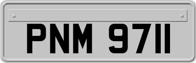 PNM9711