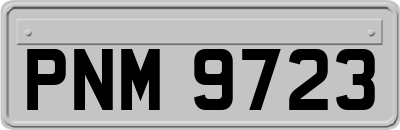 PNM9723