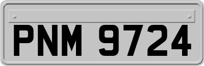 PNM9724