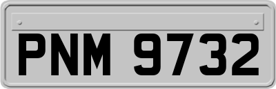 PNM9732