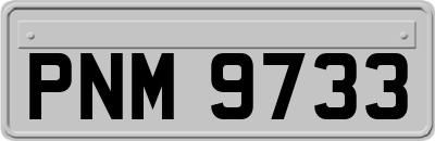 PNM9733