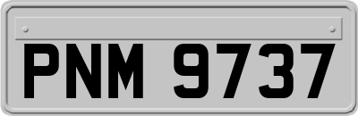 PNM9737