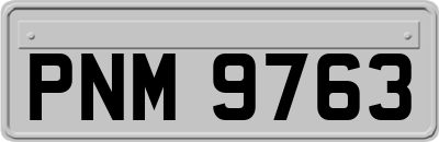 PNM9763