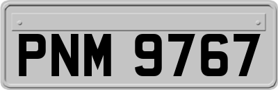PNM9767