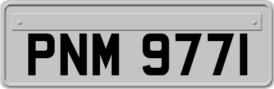 PNM9771