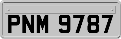 PNM9787