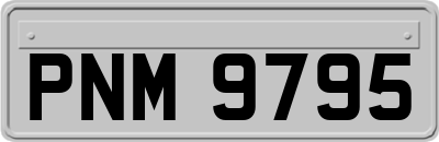 PNM9795