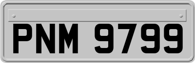 PNM9799