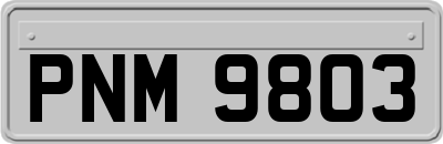 PNM9803