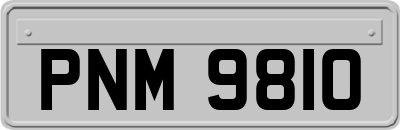 PNM9810