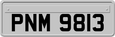PNM9813