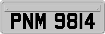 PNM9814