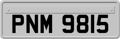 PNM9815
