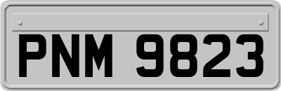 PNM9823