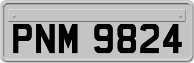 PNM9824