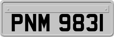 PNM9831