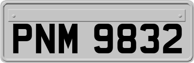 PNM9832