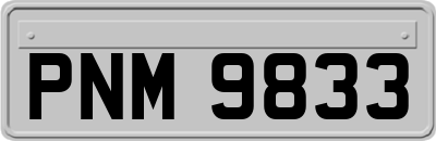 PNM9833