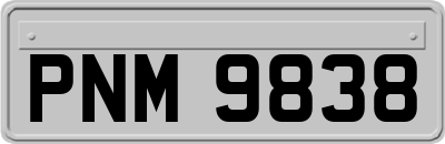 PNM9838