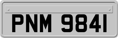 PNM9841
