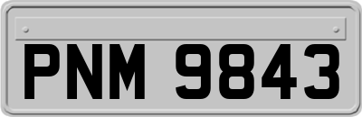 PNM9843