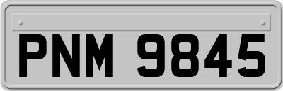 PNM9845
