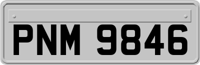 PNM9846