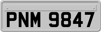 PNM9847