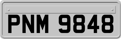 PNM9848