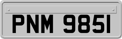 PNM9851