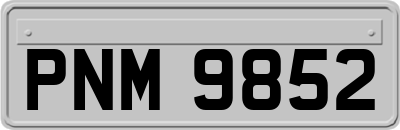 PNM9852