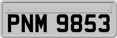 PNM9853