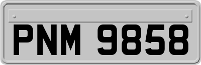 PNM9858
