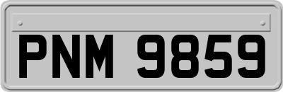 PNM9859