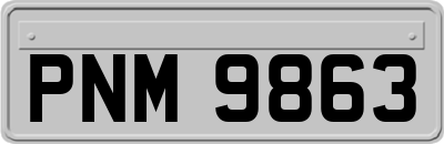 PNM9863