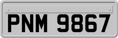 PNM9867