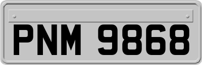 PNM9868