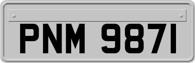 PNM9871