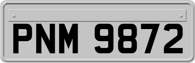 PNM9872