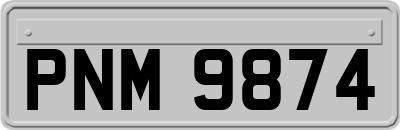 PNM9874