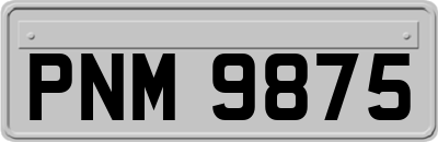 PNM9875