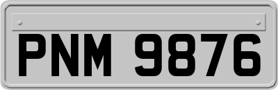 PNM9876