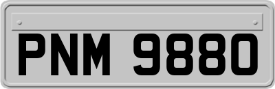 PNM9880