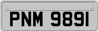 PNM9891