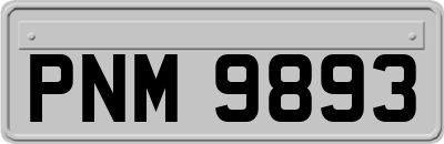 PNM9893