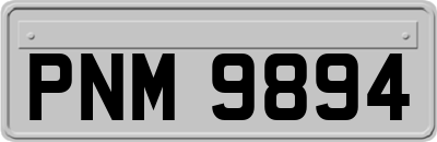 PNM9894