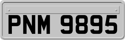 PNM9895